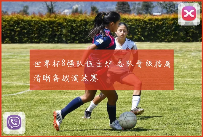世界杯8强队伍出炉 各队晋级格局清晰备战淘汰赛