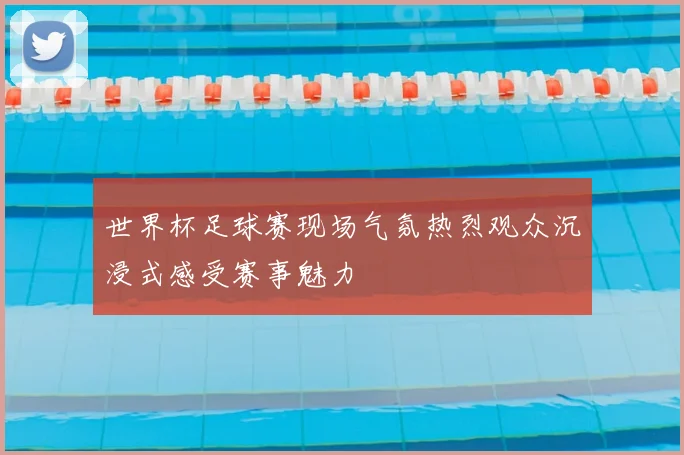 世界杯足球赛现场气氛热烈观众沉浸式感受赛事魅力