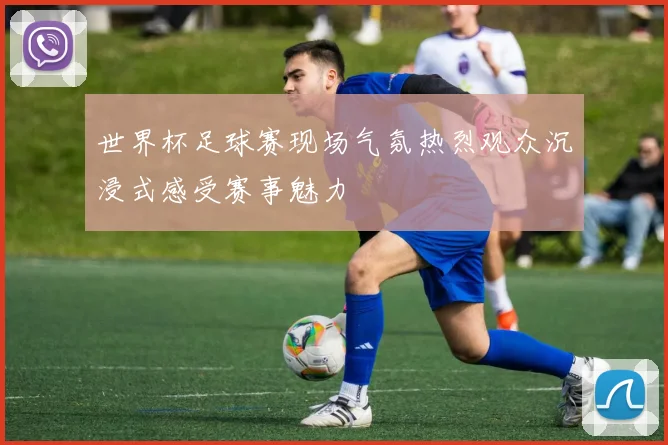 世界杯足球赛现场气氛热烈观众沉浸式感受赛事魅力