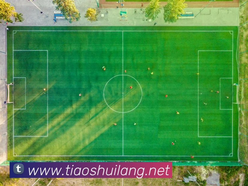 世界杯官网线上平台平台生态图